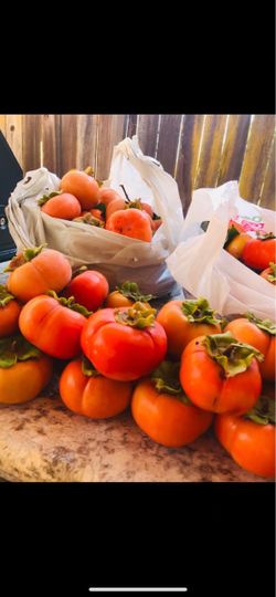 Organic Persimmons in Vallejo 📍