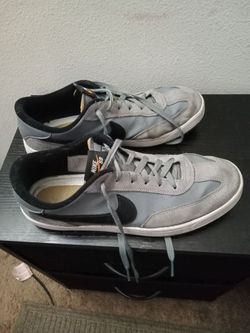 Nike Skateboarding Shoes