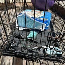 Puppy Starter Kit