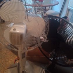 Rotating Fans And Box Fans 