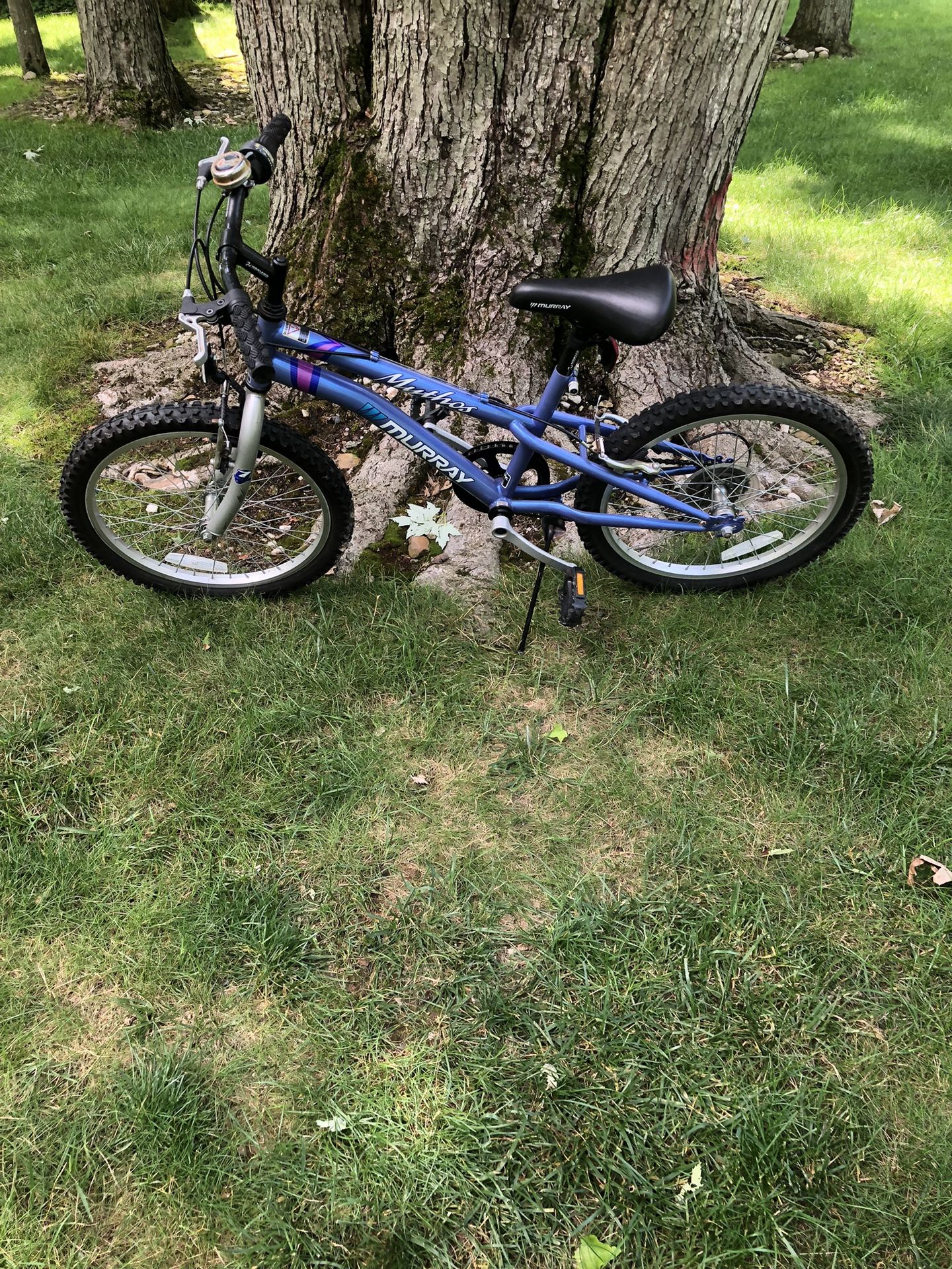 20” Mountain Bike