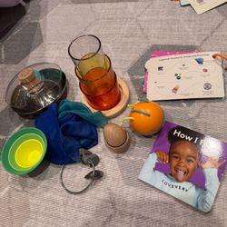Lovevery Play Kits 10-11 Month
