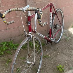 Vintage Calnago Road Bike