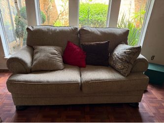 Plush Love Seat and Accent Pillows