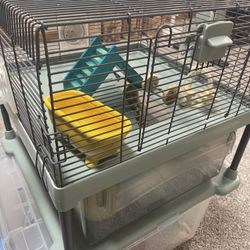 hamster house