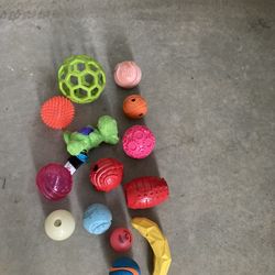 Dog Toys