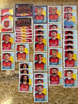 FIFA World Cup Panini Stickers