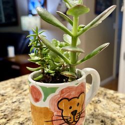 Cute Lion Ceramic Mug Filled with Live Succulent Plants