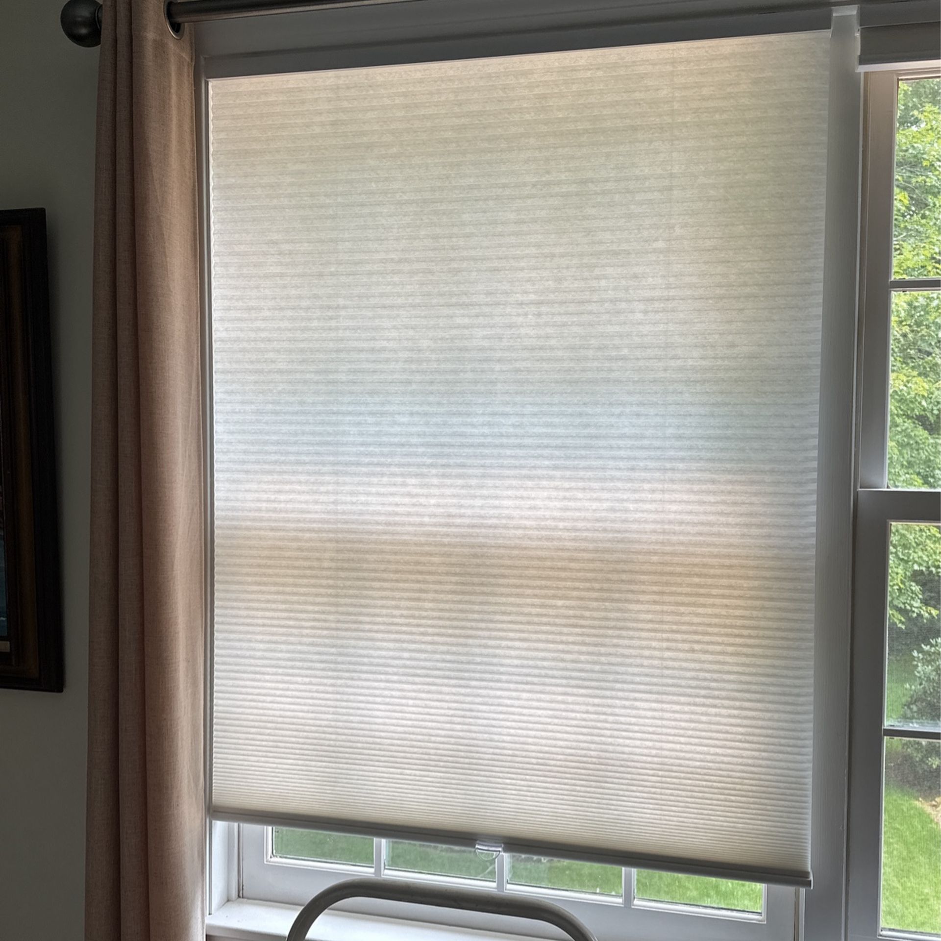 One(1) Allen + Roth Cordless Cellular Shade