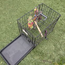 Folding Pet Crate