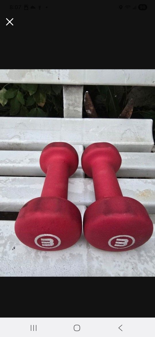 Two 3 lb. Dumbbells: Neoprene Hand Weights