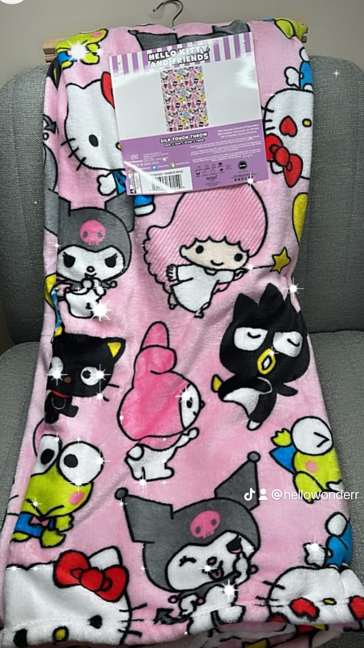 Hello Kitty And Friends 