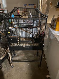 Large bird cages $400 for both