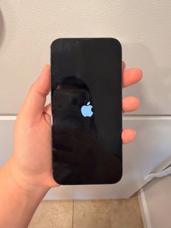 iPhone 13 Pro Max (Light Blue)