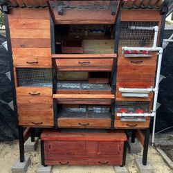 The ULTIMATE custom made Quail HUTCH