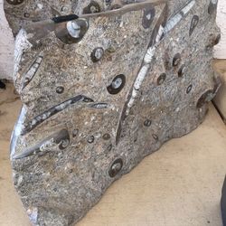 Fossil Marble Table Bases