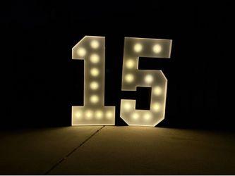Decorative Light Up Numbers