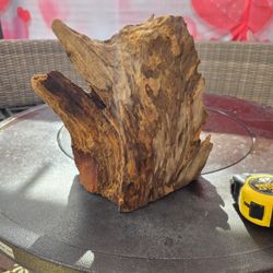 Drift Wood Don't Fit In My Fish  Tank  Up For Grabs 