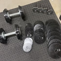 BAADASS Adjustable Dumbbells And Titan Fitness Stand 