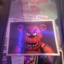 The Freddy Files:book