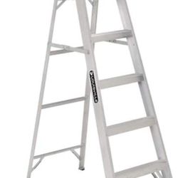 6ft Ladder 