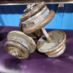 adjustable dumbbells 55 lbs 