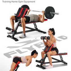 FLYBIRD Adjustable Weight Bench, Roman Bench for Full Body Workout 