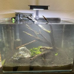 10 Gallon Aqua Scape Fresh Water Fish Tank 