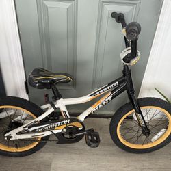 Kids bike (Animator Giant)