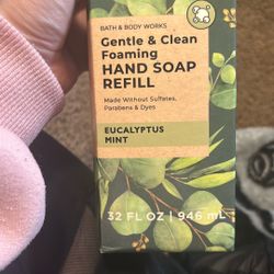 Eucalyptus Mint Foaming Soap Refill