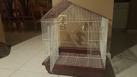 Bird cage