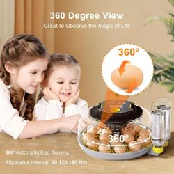 18 Eggs Incubator With WiFi 