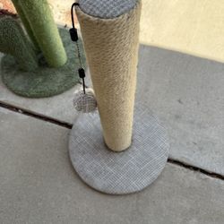cat scratcher 