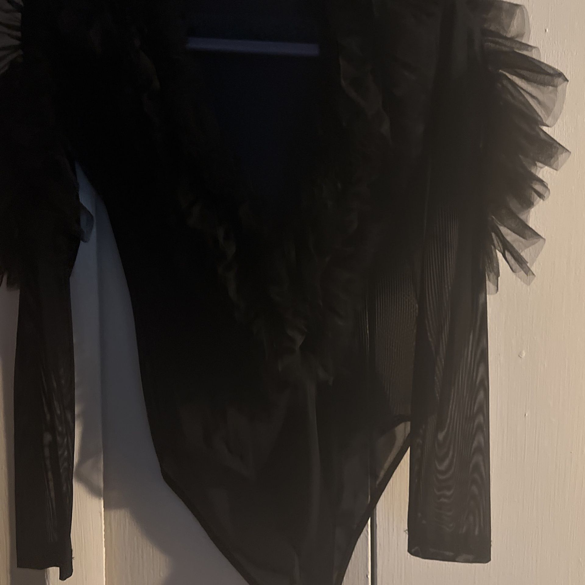 New Sheer Body Suit Never Worn