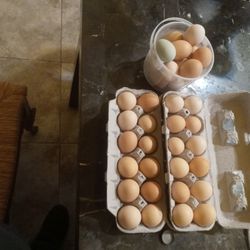 Huevos Organicos/ Organic Eggs
