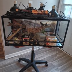 Reptile Tank And Equipment 
