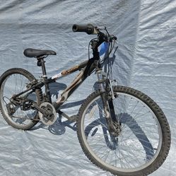 Columbia Flame Rider Bike 