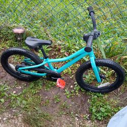 Trek 16 inch kids bike