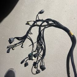 rywire harness B AND D SERIES OBD2
