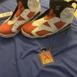 Air Jordan 6 Retro