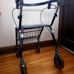 Dolomite Walker 600