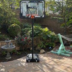 Basketball Hoop