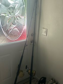 Fish rod