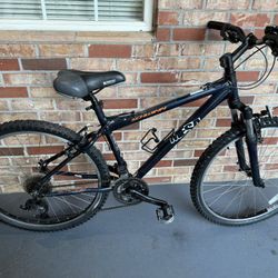 Schwinn bike (26” wheels)