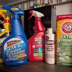 Carpet Cleaning Lot - Nature's Miracle, Oxy, Shout