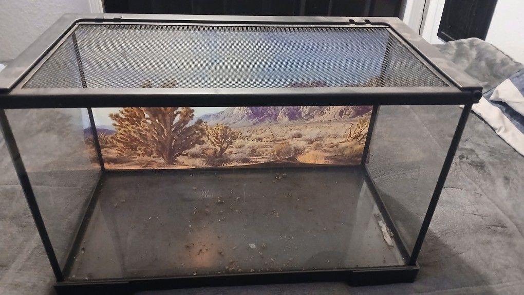 10 gallon reptile tank