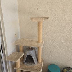 Cat Tower 