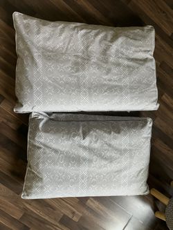 Brand New Pet Beds - $10 Each