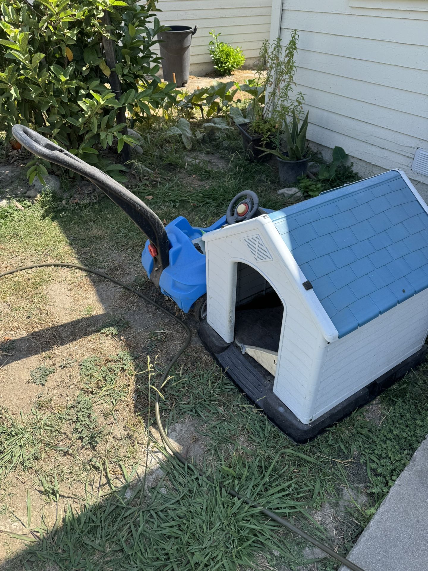 Dog House