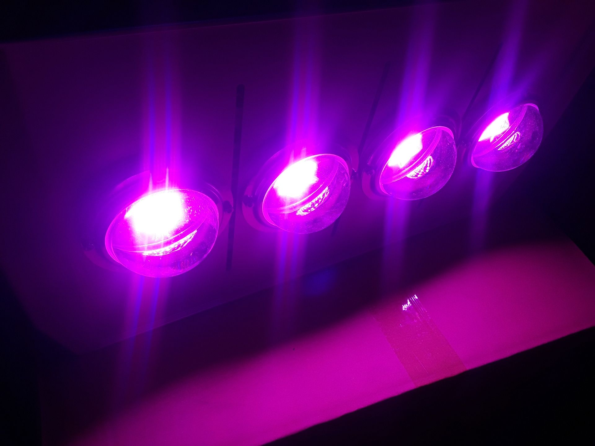 LED Grow Light New